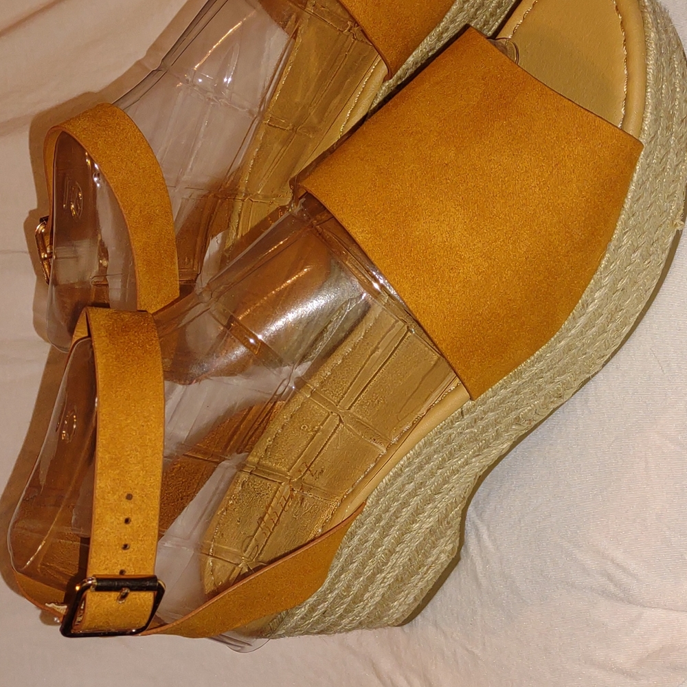New Mango Wedges